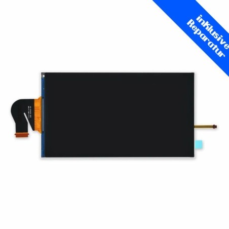 Switch Lite Display ersetzen